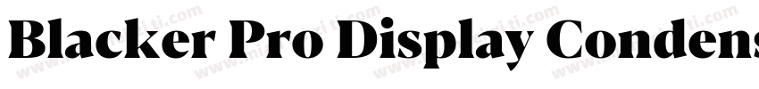 Blacker Pro Display Condensed Trial字体转换